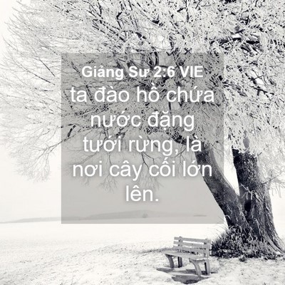 Picture 04 - Giảng Sư 2:6 VIE - ta đào hồ chứa nước đặng tưới - Bible Verse Picture
