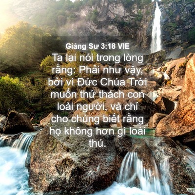 Picture 04 - Giảng Sư 3:18 VIE - Ta lại nói trong lòng rằng: Phải như - Bible Verse Picture