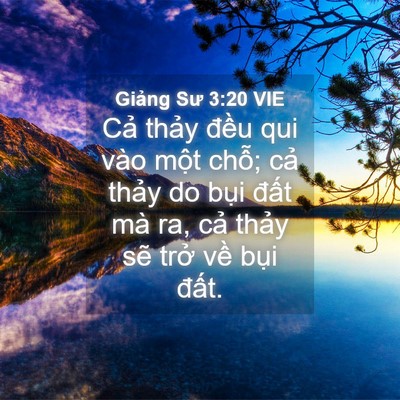 Picture 04 - Giảng Sư 3:20 VIE - Cả thảy đều qui vào một chỗ; cả - Bible Verse Picture