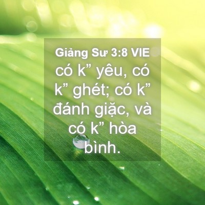 Picture 04 - Giảng Sư 3:8 VIE - có k” yêu, có k” ghét; có k” đánh - Bible Verse Picture
