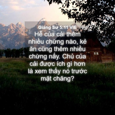 Picture 04 - Giảng Sư 5:11 VIE - Hễ của cải thêm nhiều chừng nào, kẻ - Bible Verse Picture