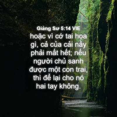 Picture 04 - Giảng Sư 5:14 VIE - hoặc vì cớ tai họa gì, cả của cải - Bible Verse Picture