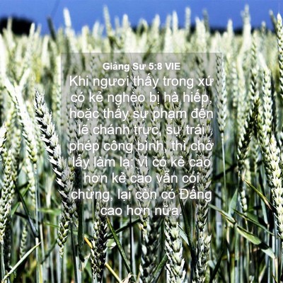 Picture 04 - Giảng Sư 5:8 VIE - Khi ngươi thấy trong xứ có kẻ nghèo - Bible Verse Picture