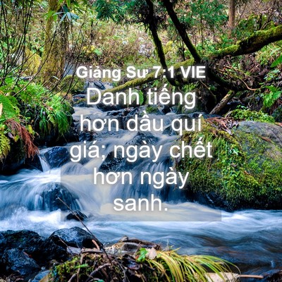 Picture 04 - Giảng Sư 7:1 VIE - Danh tiếng hơn dầu quí giá; ngày chết - Bible Verse Picture