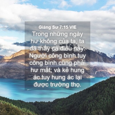 Picture 04 - Giảng Sư 7:15 VIE - Trong những ngày hư không của ta, ta đã - Bible Verse Picture