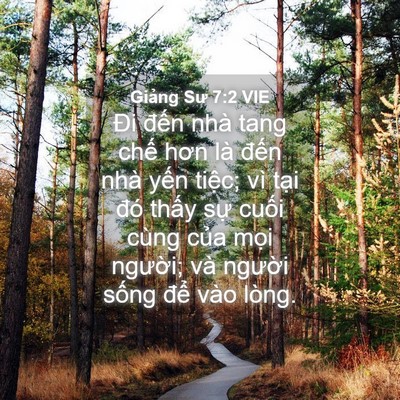 Picture 04 - Giảng Sư 7:2 VIE - Đi đến nhà tang chế hơn là đến nhà - Bible Verse Picture