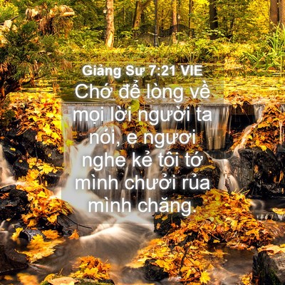 Picture 04 - Giảng Sư 7:21 VIE - Chớ để lòng về mọi lời người ta - Bible Verse Picture