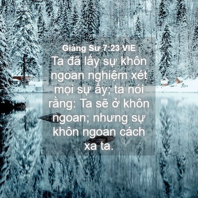 Picture 04 - Giảng Sư 7:23 VIE - Ta đã lấy sự khôn ngoan nghiệm xét - Bible Verse Picture