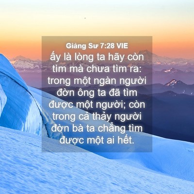 Picture 04 - Giảng Sư 7:28 VIE - ấy là lòng ta hãy còn tìm mà chưa tìm - Bible Verse Picture