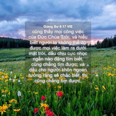 Picture 04 - Giảng Sư 8:17 VIE - cũng thấy mọi công việc của Đức - Bible Verse Picture