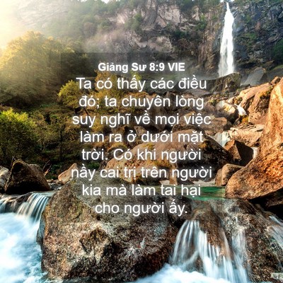 Picture 04 - Giảng Sư 8:9 VIE - Ta có thấy các điều đó; ta chuyên lòng - Bible Verse Picture