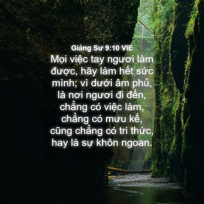 Picture 04 - Giảng Sư 9:10 VIE - Mọi việc tay ngươi làm được, hãy làm - Bible Verse Picture