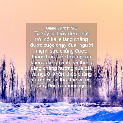 Picture 04 - Giảng Sư 9:11 VIE - Ta xây lại thấy dưới mặt trời có - Bible Verse Picture