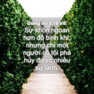 Picture 04 - Giảng Sư 9:18 VIE - Sự khôn ngoan hơn đồ binh khí; nhưng - Bible Verse Picture