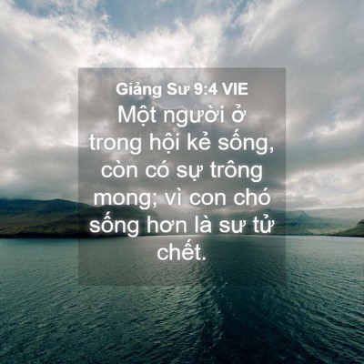 Picture 04 - Giảng Sư 9:4 VIE - Một người ở trong hội kẻ sống, còn - Bible Verse Picture