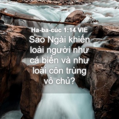 Picture 04 - Ha-ba-cúc 1:14 VIE - Sao Ngài khiến loài người như cá biển - Bible Verse Picture