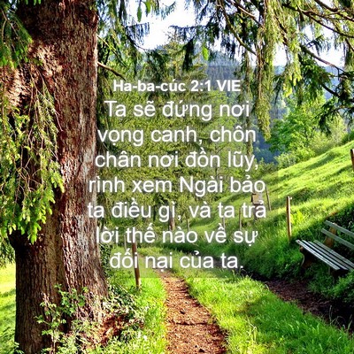 Picture 04 - Ha-ba-cúc 2:1 VIE - Ta sẽ đứng nơi vọng canh, chôn chân - Bible Verse Picture