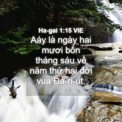 Picture 04 - Ha-gai 1:15 VIE - Aáy là ngày hai mươi bốn tháng sáu về - Bible Verse Picture