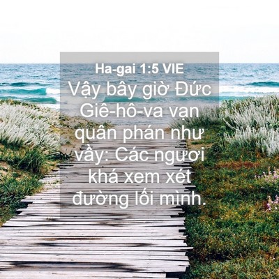 Picture 04 - Ha-gai 1:5 VIE - Vậy bây giờ Đức Giê-hô-va vạn quân - Bible Verse Picture