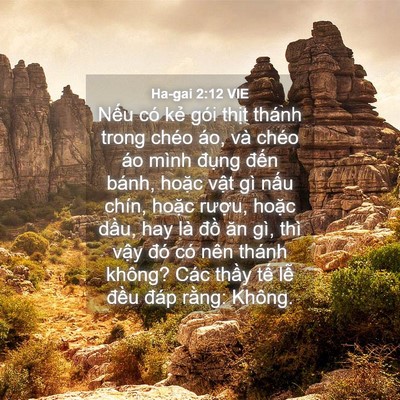 Picture 04 - Ha-gai 2:12 VIE - Nếu có kẻ gói thịt thánh trong chéo - Bible Verse Picture