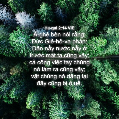 Picture 04 - Ha-gai 2:14 VIE - A-ghê bèn nói rằng: Đức Giê-hô-va - Bible Verse Picture