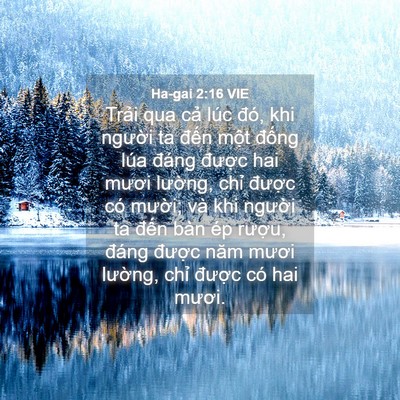 Picture 04 - Ha-gai 2:16 VIE - Trải qua cả lúc đó, khi người ta đến - Bible Verse Picture