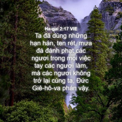 Picture 04 - Ha-gai 2:17 VIE - Ta đã dùng những hạn hán, ten rét, mưa - Bible Verse Picture