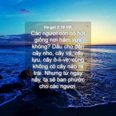 Picture 04 - Ha-gai 2:19 VIE - Các ngươi còn có hột giống nơi hầm - Bible Verse Picture