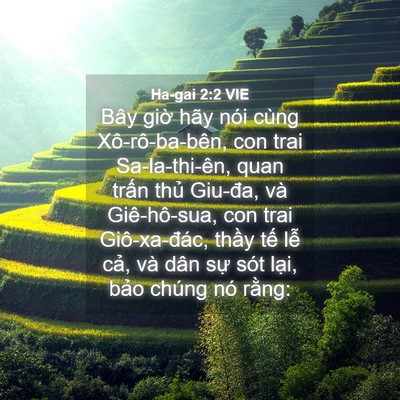 Picture 04 - Ha-gai 2:2 VIE - Bây giờ hãy nói cùng Xô-rô-ba-bên, con - Bible Verse Picture