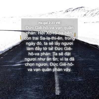 Picture 04 - Ha-gai 2:23 VIE - Đức Giê-hô-va vạn quân phán: Hỡi - Bible Verse Picture