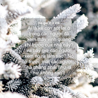 Picture 04 - Ha-gai 2:3 VIE - Ai là kẻ còn sót lại ở trong các - Bible Verse Picture