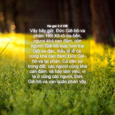 Picture 04 - Ha-gai 2:4 VIE - Vậy bây giờ, Đức Giê-hô-va phán: Hỡi - Bible Verse Picture