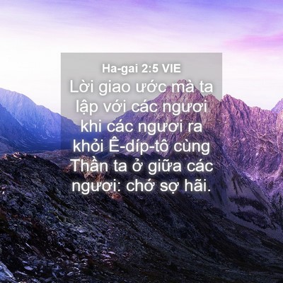 Picture 04 - Ha-gai 2:5 VIE - Lời giao ước mà ta lập với các ngươi - Bible Verse Picture