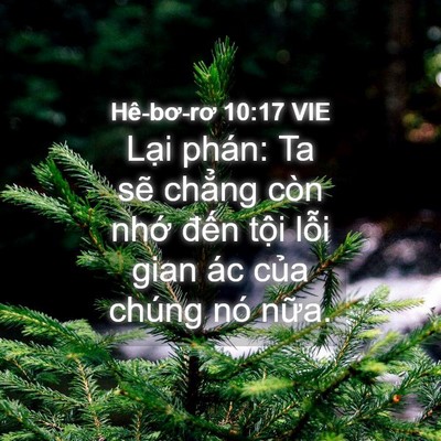 Picture 04 - Hê-bơ-rơ 10:17 VIE - Lại phán: Ta sẽ chẳng còn nhớ đến - Bible Verse Picture