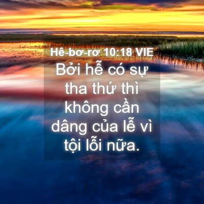 Picture 04 - Hê-bơ-rơ 10:18 VIE - Bởi hễ có sự tha thứ thì không cần - Bible Verse Picture