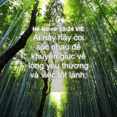 Picture 04 - Hê-bơ-rơ 10:24 VIE - Ai nấy hãy coi sóc nhau để khuyên giục - Bible Verse Picture