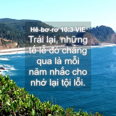 Picture 04 - Hê-bơ-rơ 10:3 VIE - Trái lại, những tế lễ đó chẳng qua - Bible Verse Picture