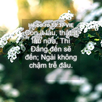 Picture 04 - Hê-bơ-rơ 10:37 VIE - Còn ít lâu, thật ít lâu nữa, Thì - Bible Verse Picture
