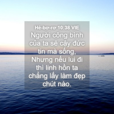 Picture 04 - Hê-bơ-rơ 10:38 VIE - Người công bình của ta sẽ cậy đức - Bible Verse Picture