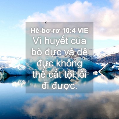 Picture 04 - Hê-bơ-rơ 10:4 VIE - Vì huyết của bò đực và dê đực - Bible Verse Picture