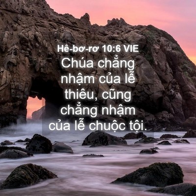 Picture 04 - Hê-bơ-rơ 10:6 VIE - Chúa chẳng nhậm của lễ thiêu, cũng - Bible Verse Picture