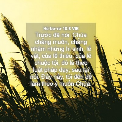 Picture 04 - Hê-bơ-rơ 10:8 VIE - Trước đã nói: Chúa chẳng muốn, chẳng - Bible Verse Picture