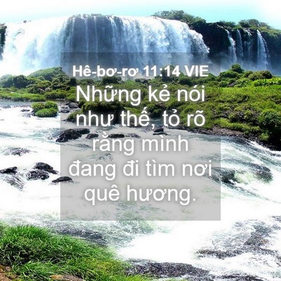 Picture 04 - Hê-bơ-rơ 11:14 VIE - Những kẻ nói như thế, tỏ rõ rằng - Bible Verse Picture
