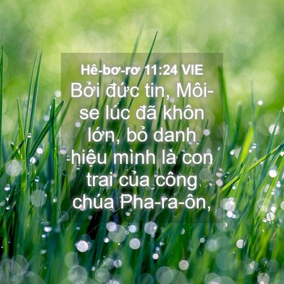 Picture 04 - Hê-bơ-rơ 11:24 VIE - Bởi đức tin, Môi-se lúc đã khôn lớn, - Bible Verse Picture