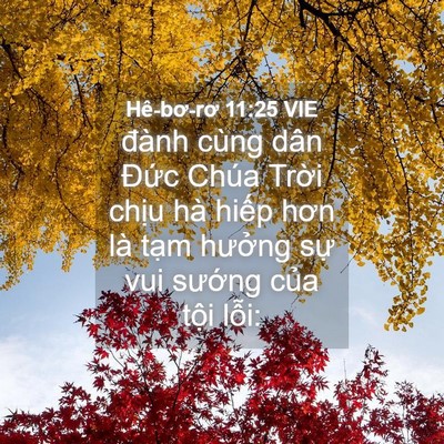 Picture 04 - Hê-bơ-rơ 11:25 VIE - đành cùng dân Đức Chúa Trời chịu hà - Bible Verse Picture