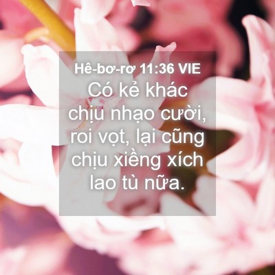 Picture 04 - Hê-bơ-rơ 11:36 VIE - Có kẻ khác chịu nhạo cười, roi vọt, - Bible Verse Picture