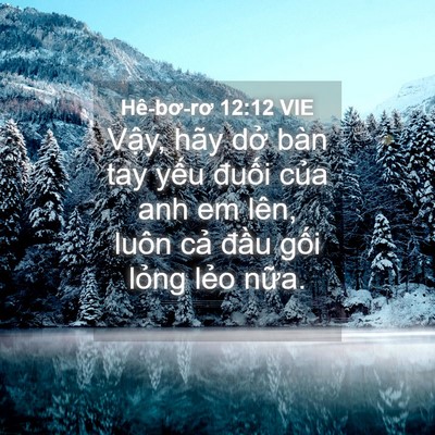 Picture 04 - Hê-bơ-rơ 12:12 VIE - Vậy, hãy dở bàn tay yếu đuối của anh - Bible Verse Picture