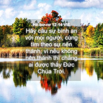 Picture 04 - Hê-bơ-rơ 12:14 VIE - Hãy cầu sự bình an với mọi người, - Bible Verse Picture