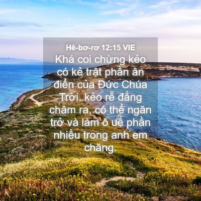 Picture 04 - Hê-bơ-rơ 12:15 VIE - Khá coi chừng kẻo có kẻ trật phần ân - Bible Verse Picture
