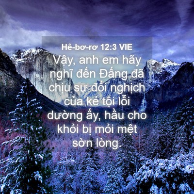 Picture 04 - Hê-bơ-rơ 12:3 VIE - Vậy, anh em hãy nghĩ đến Đấng đã - Bible Verse Picture